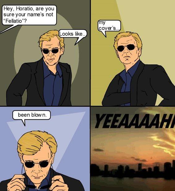 CSI 4 Pane Comics