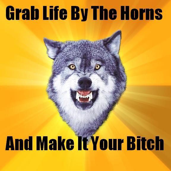 Courage_Wolf2.JPG