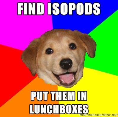 Advice Dog
