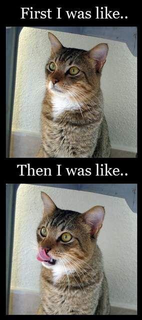 At First I Was Like...