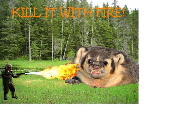 KILLITWITHFIRE.jpg