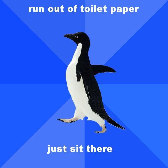 Socially Awkward Penguin