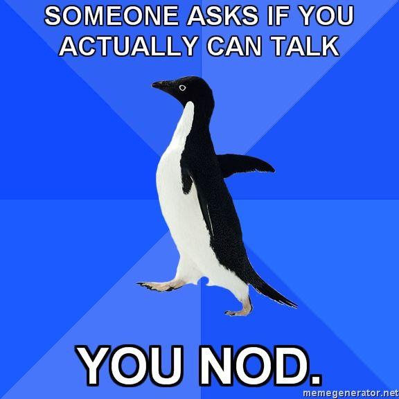 Socially Awkward Penguin