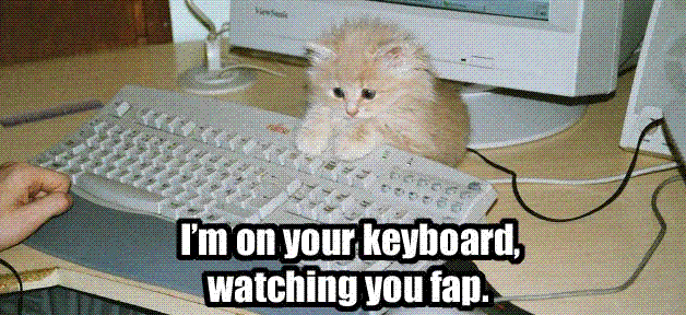 loldv2.png