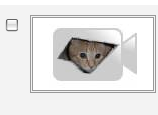 Ceiling Cat