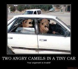 two-angry-camels-in-a-tiny-car-two-angry-camels-in-a-tiny-ca-demotivational-poster-1265390697.jpg