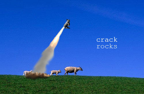 sheep_crack.jpg