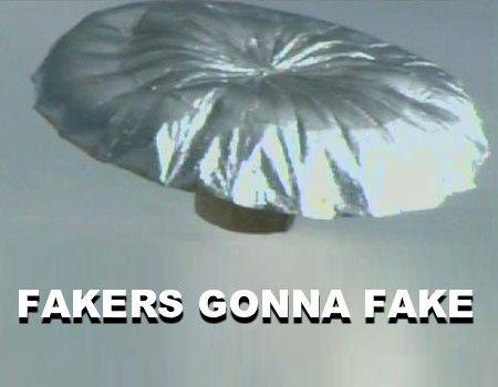 falcon.jpg