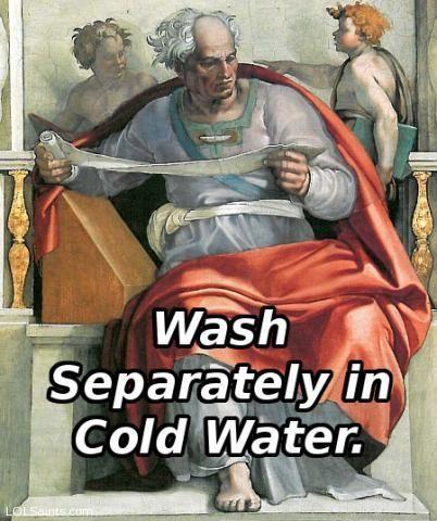 Wikipedia-Sistine-Joel__Michelangelo_Wash.jpg