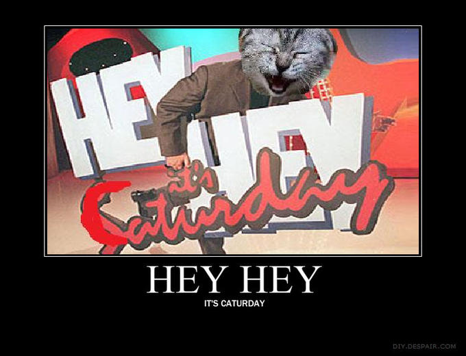 heyheycatur.jpg