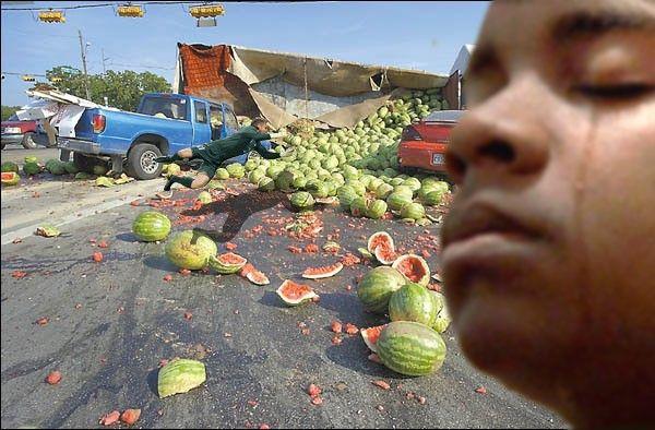 BLACK_WATERMELONS.jpg
