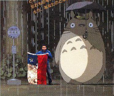bandera11.jpg