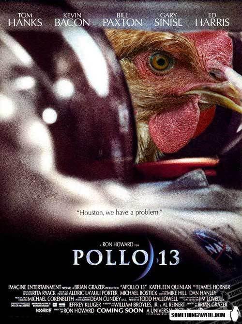 Pollo13.jpg
