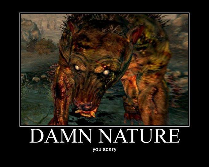 [Image 60182] Damn Nature, You Scary! Know Your Meme