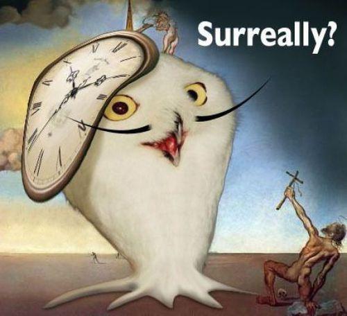 tumblr_l5yv3pKTwX1qzpzfmo1_500.jpg