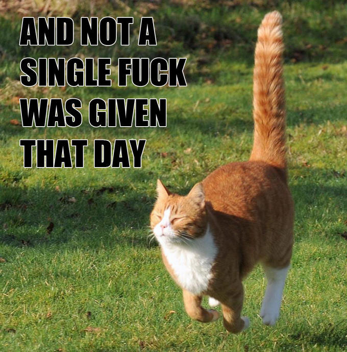 And Not a Single Fuck Was Given That Day