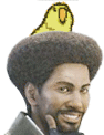AfroBird.gif