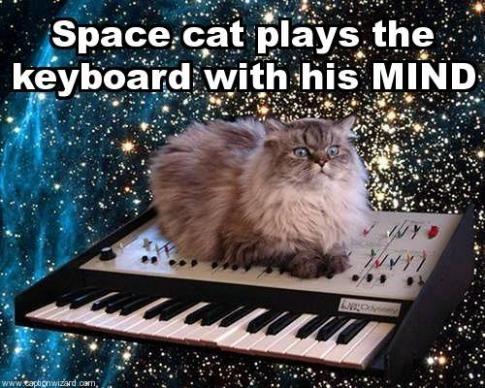 space-cat-plays-the-keyboard-w-462d0d771249811218.jpg