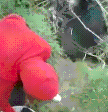 1283490041220.gif