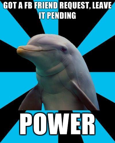 Social Networking Dolphin