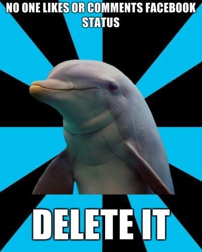 Social Networking Dolphin