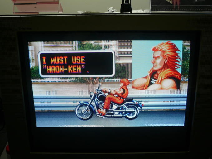 haou-ken1.jpg