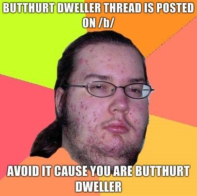 Butthurt-dweller-thread-is-posted-on-b-Avoid-it-cause-you-are-butthurt-dweller.jpg