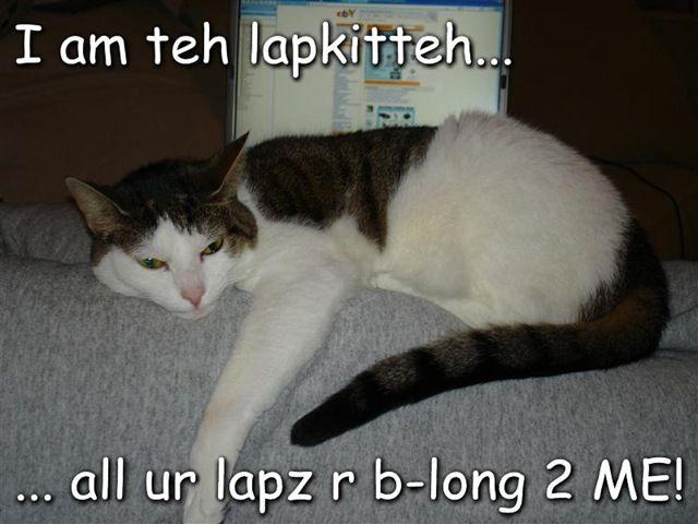 i-am-teh-lapkitteh-all-ur-lapz-r-blong-2-me.jpg