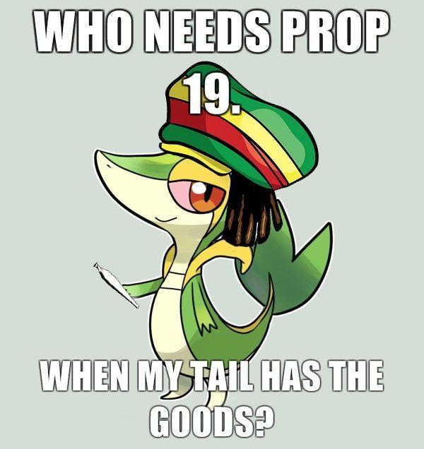 Prop_19.jpg
