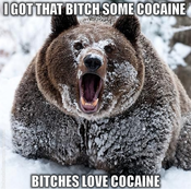 bear1.png
