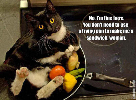 make_me_a_sandwich_woman_trollcat.jpg