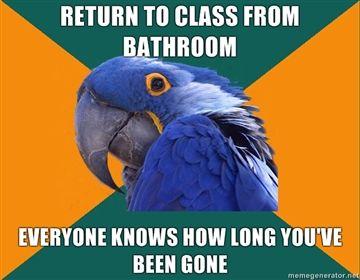 paranoidparrot4.jpg