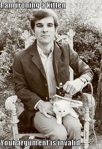 i-am-ironing-a-kitten-your-argument-is-invalid.jpg