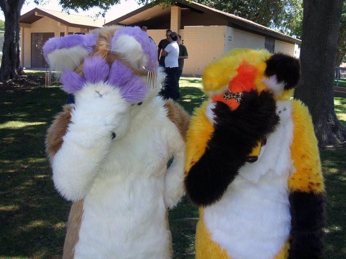 1282586147.brownwolf_dscf3807.jpg