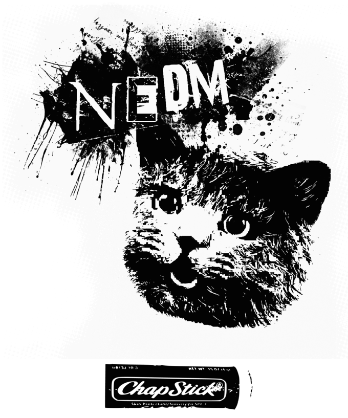 NEDM.png