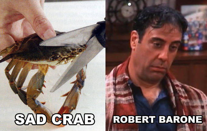 lookalike.jpg