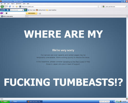 tumblr_lksnvjMRir1qgsjb1o1_500.jpg