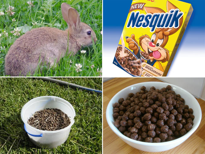 nesquikymierdadeconejo.jpg