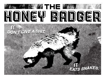 honey-badger.png
