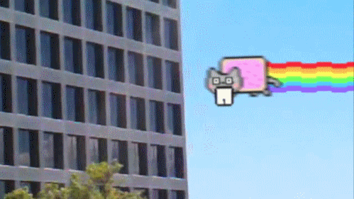tumblr_lnrf7sTAsF1qze5g2o1_500.gif