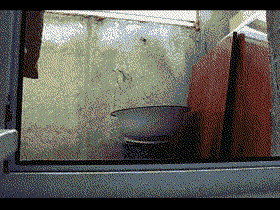 nyansneak.gif