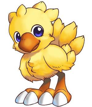 535395-chocobo_baby_large.jpg