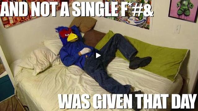 FalcoDoesntCare.jpg