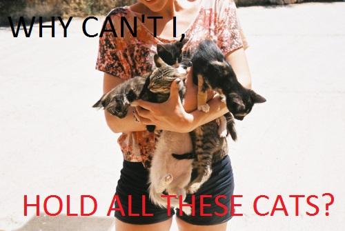 tumblr_lr292c3Ykg1qc6kn5o1_500.jpg