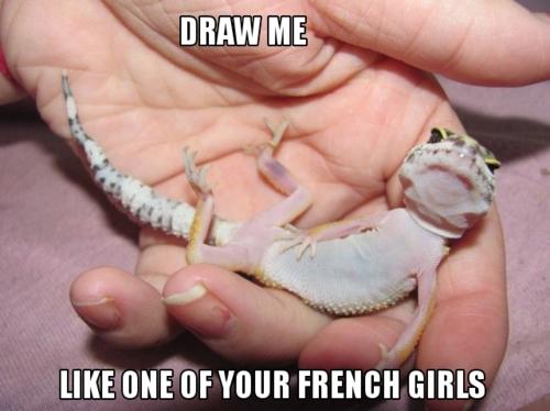 tumblr_lrrhpzVQKn1qcc8ul.jpg