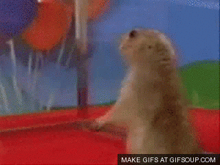 gopher rly