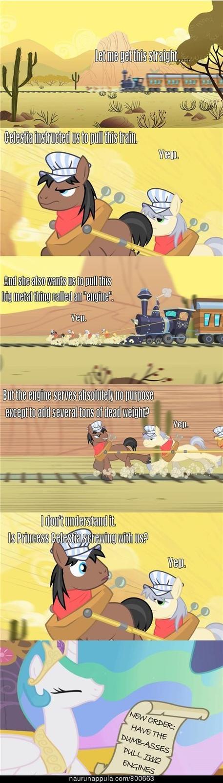 14474231955113870303.jpg