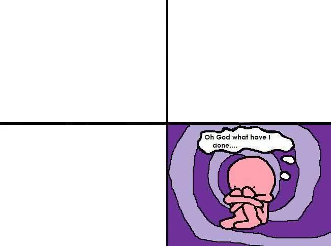 1zox3co.jpg