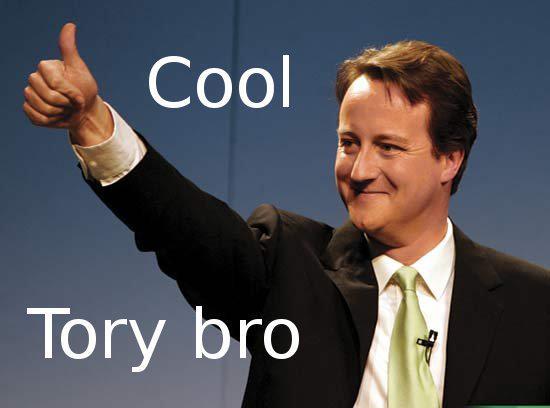 cameron1.jpg