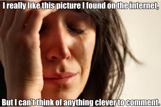 Firstfirstworldproblem.jpg